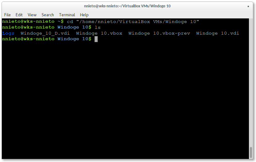 Consola en el directorio de la VM